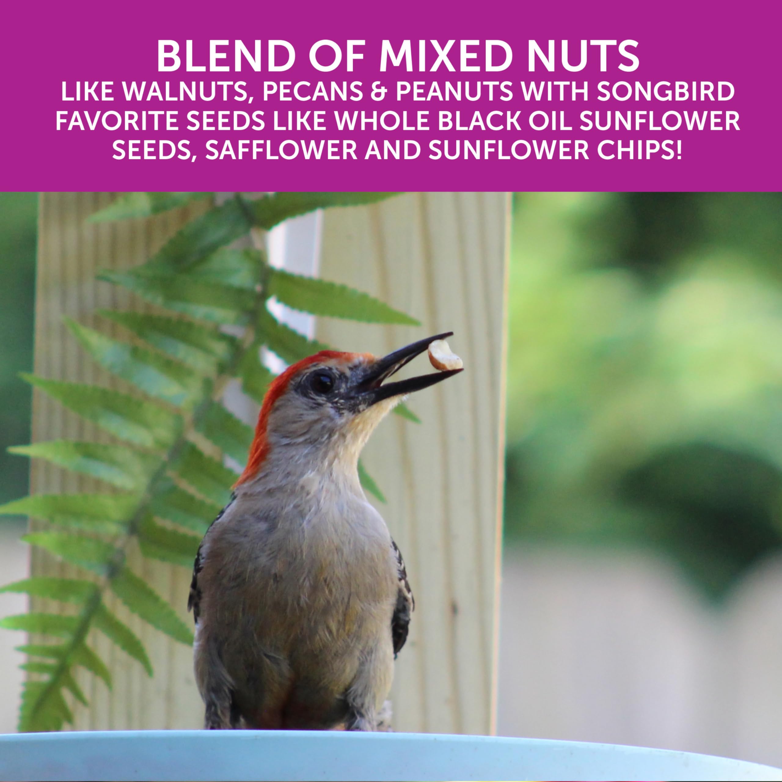 Pennington Ultra Double Nut Blend with black oil sunflower seeds for year-round feeding.