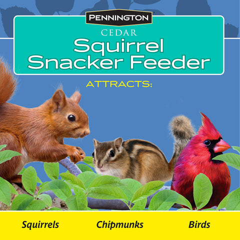 Pennington Cedar Squirrel Snacker great for backyard bird feeding