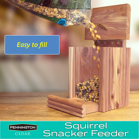 Pennington Cedar Squirrel Snacker cedar texture highlights natural durability
