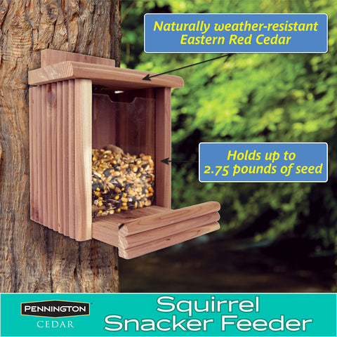Pennington Cedar Squirrel Snacker side mounted for easy placement