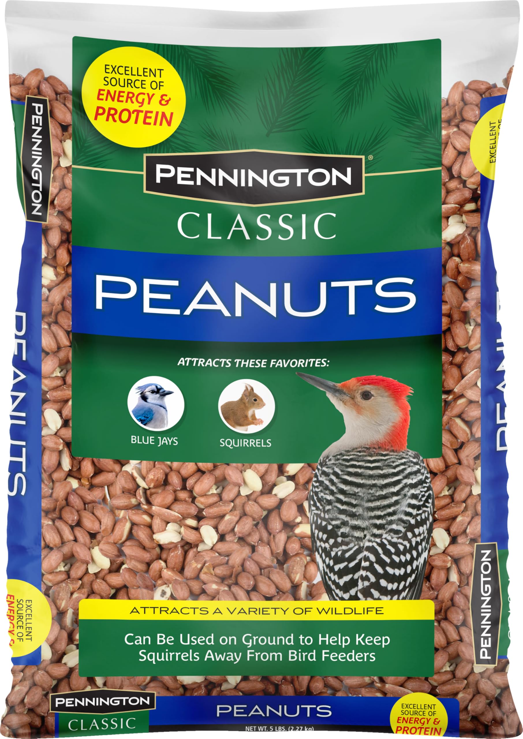 Pennington Classic Shelled Peanuts at a bird feeder attract woodpeckers and blue jays.