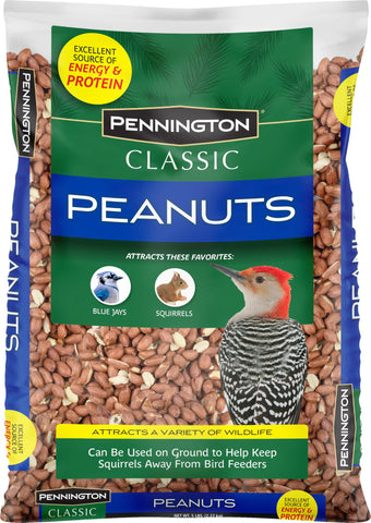 Pennington Classic Shelled Peanuts at a bird feeder attract woodpeckers and blue jays.