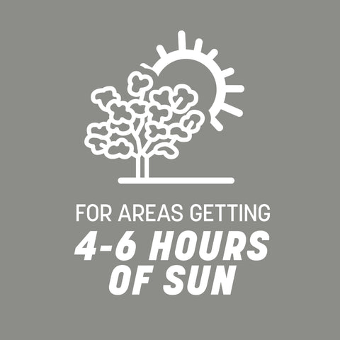Note on sun tolerance for Pennington Contractors Grass Seed Mix Northern, 4 to 6 hours.