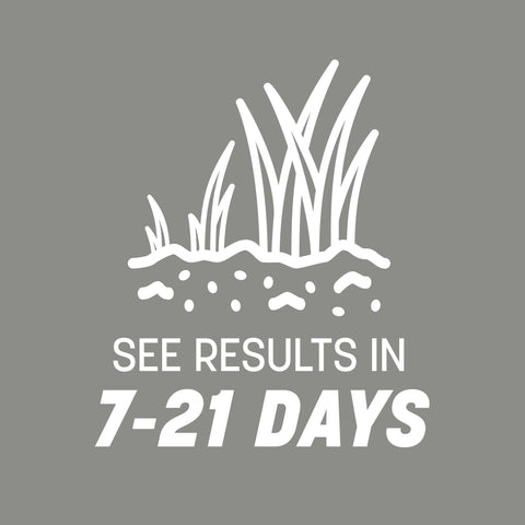 Pennington Contractors seed thriving in sun with 4–6 hours daily