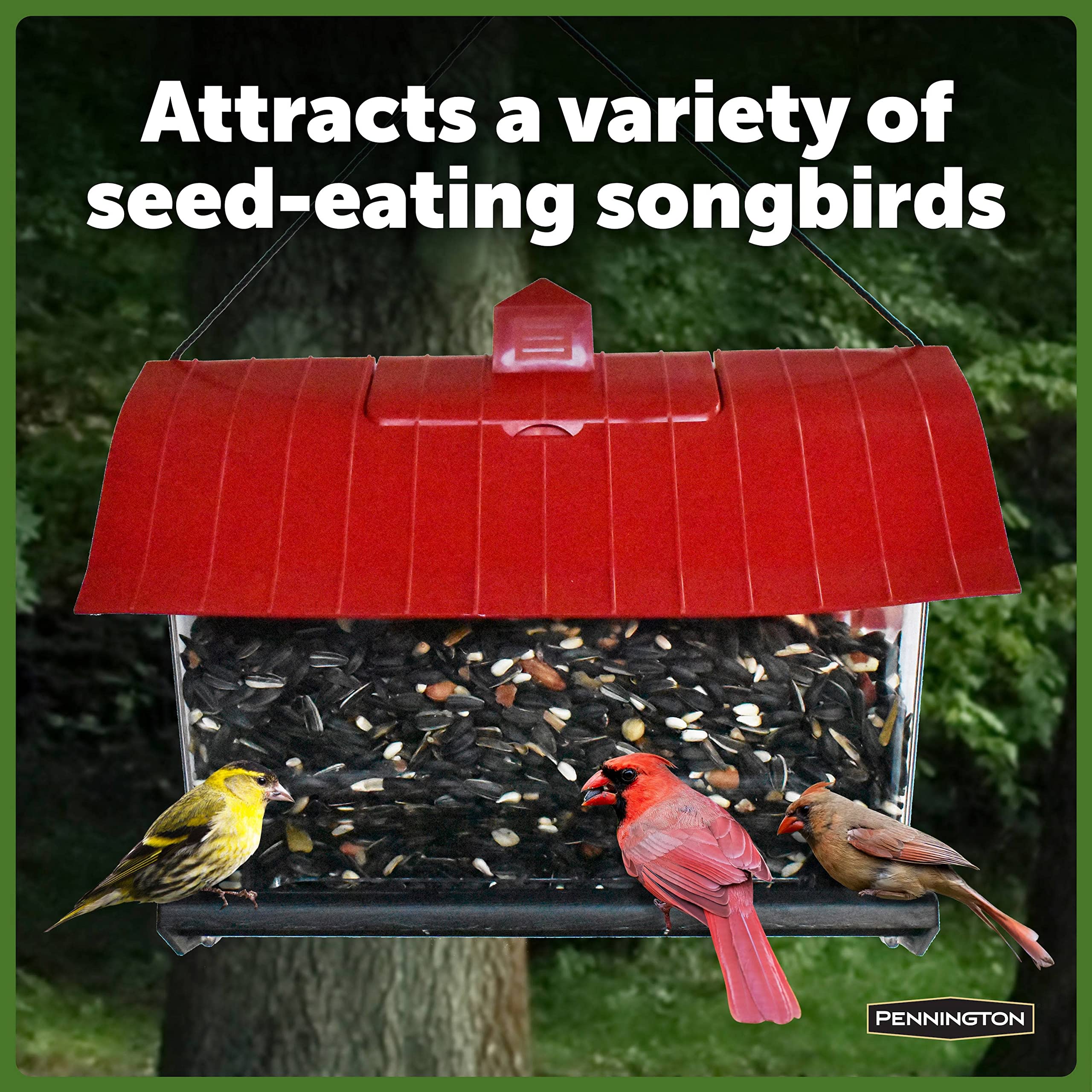 Pennington Country Barn Hopper Feeder 4.5-pound capacity; supports multiple seed blends.