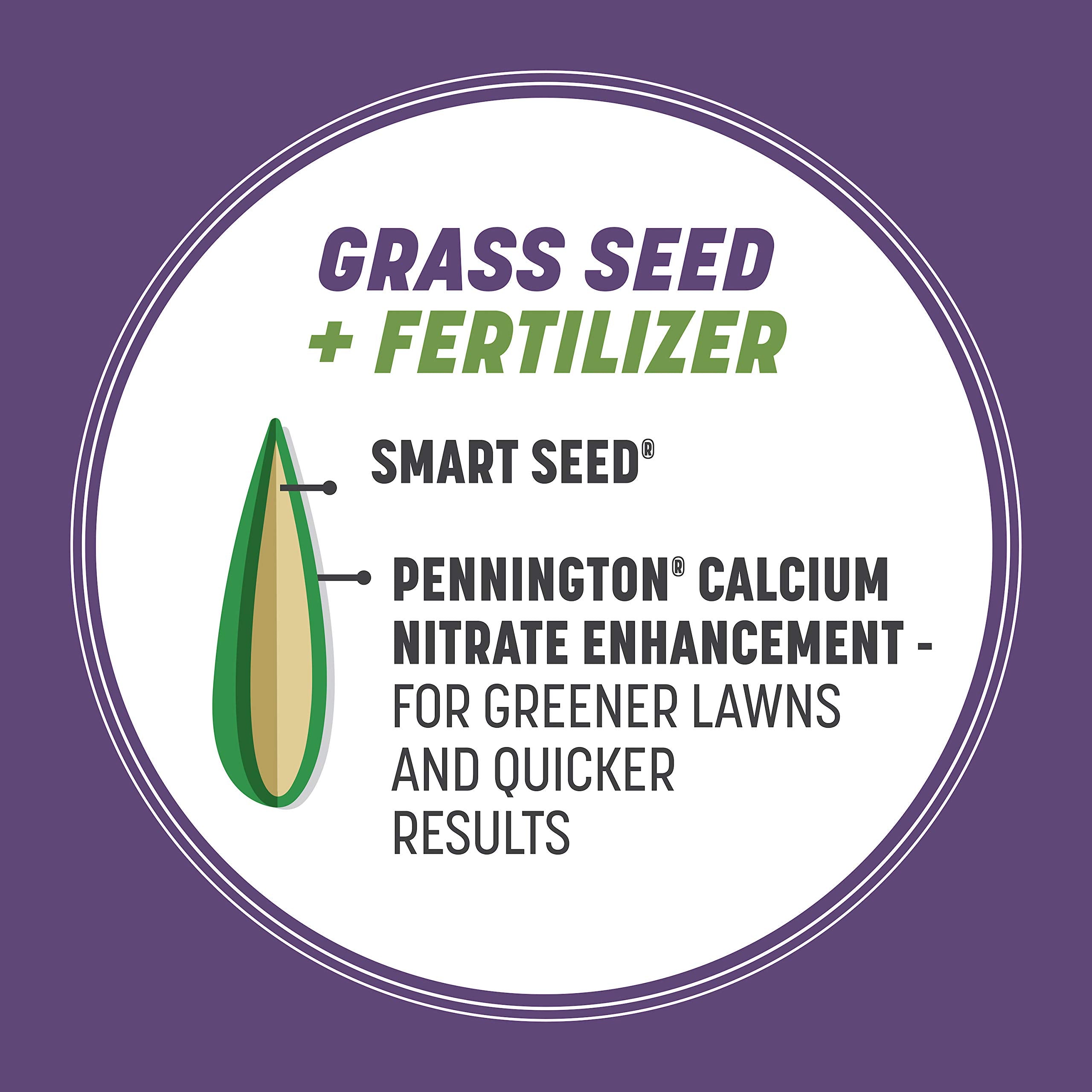 Close-up of Pennington Dense Shade seed coating technology