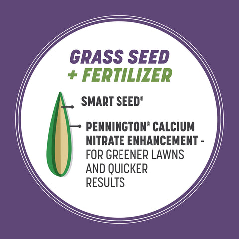 Close-up of Pennington Dense Shade seed coating technology