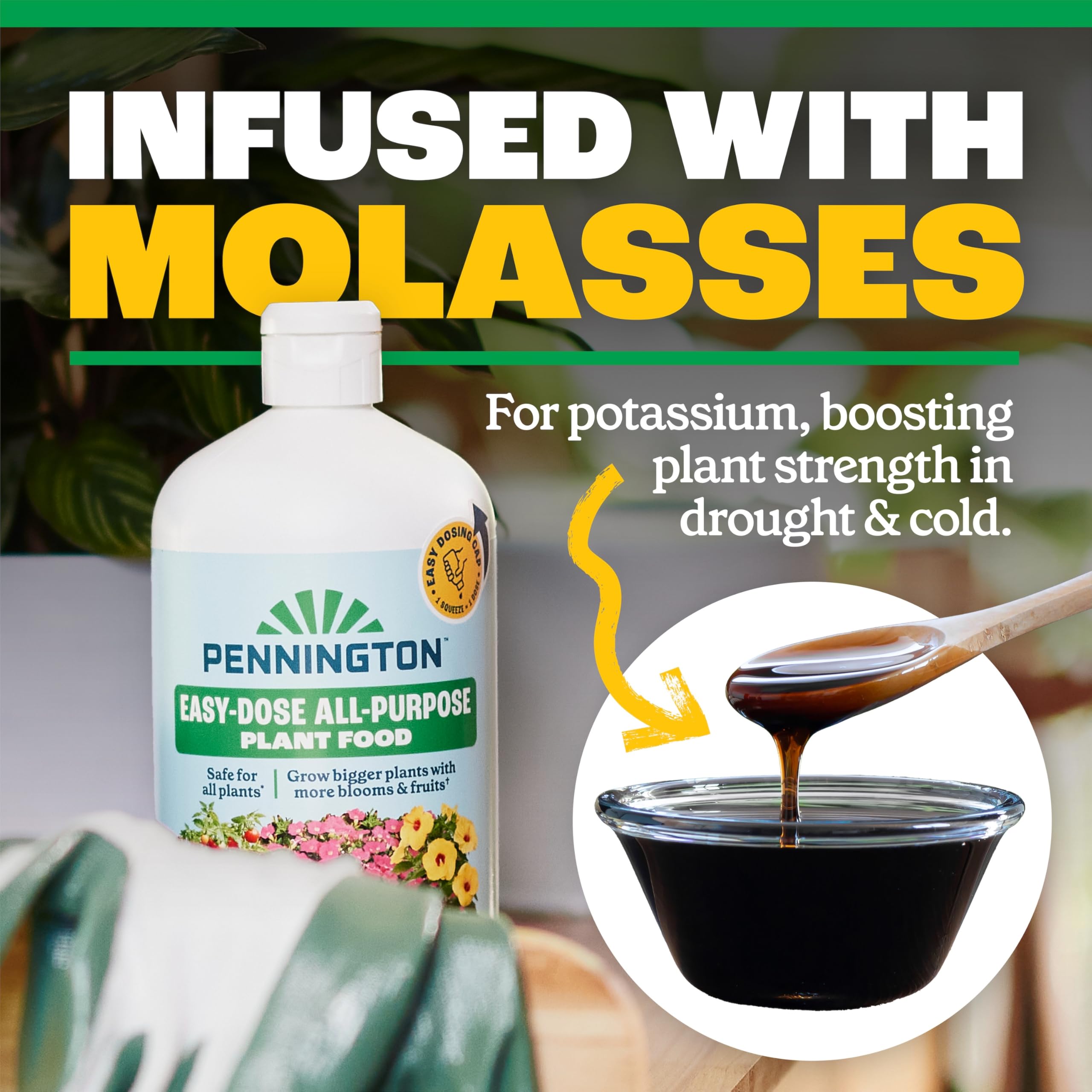 Pennington Easy-Dose indoor plants thriving with weekly feed during active growth.