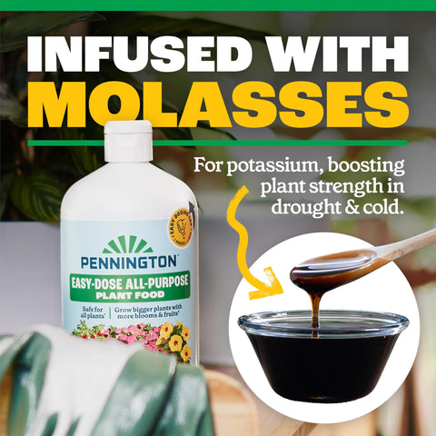 Pennington Easy-Dose indoor plants thriving with weekly feed during active growth.