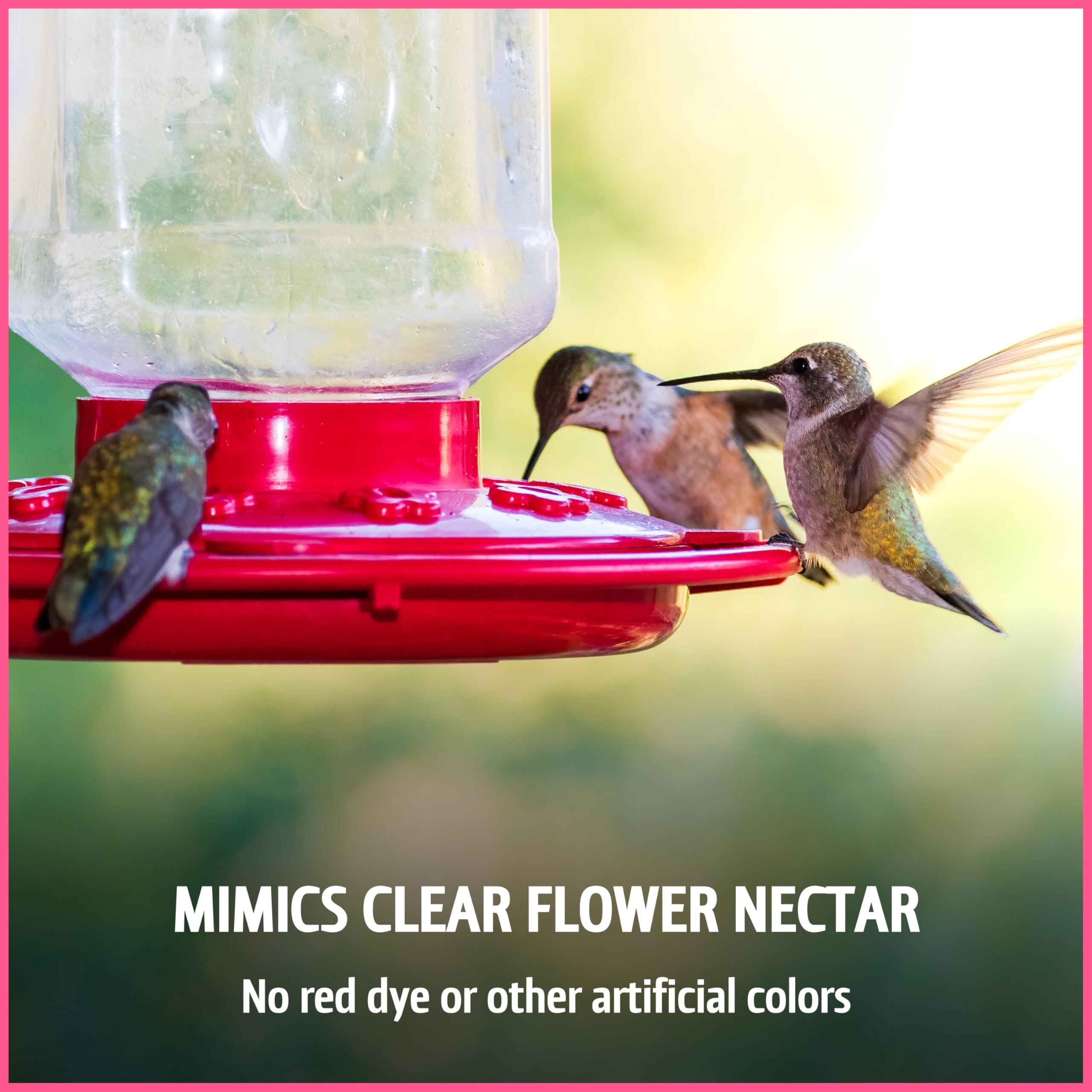 Hummingbird enjoying Pennington Electro-Nectar at a garden feeder.
