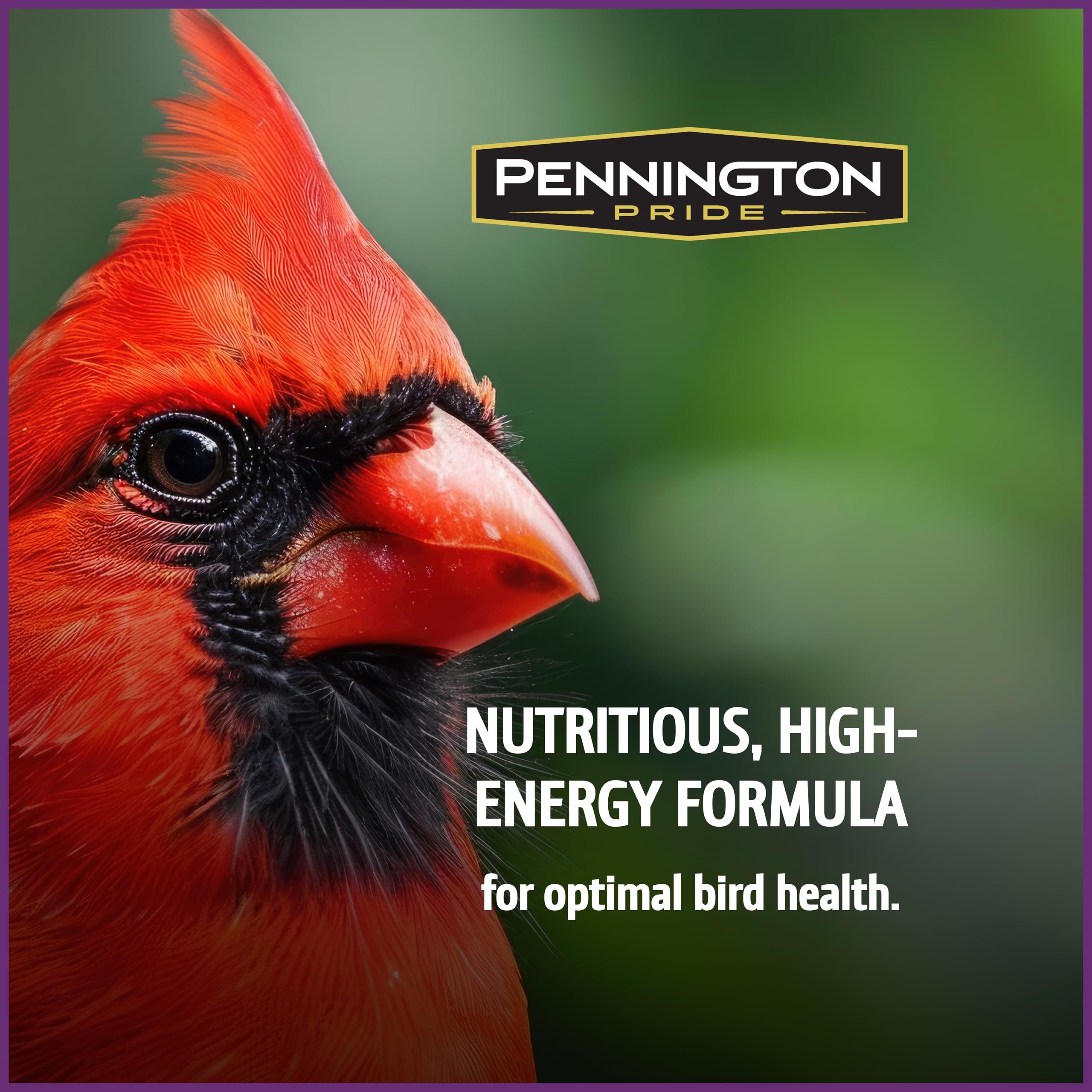 Pennington fruit and nut seed mix in feeder, compatible with hopper feeders.