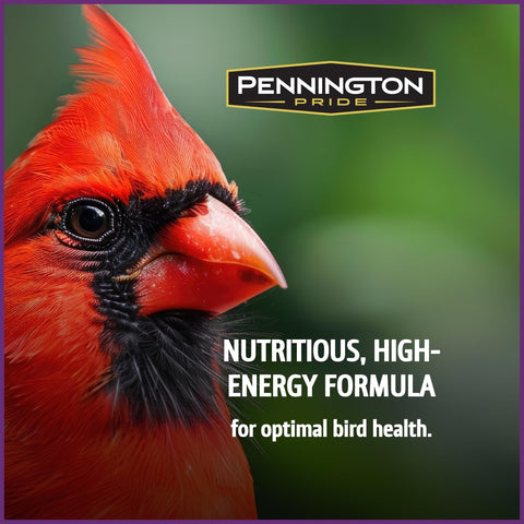 Pennington fruit and nut seed mix in feeder, compatible with hopper feeders.
