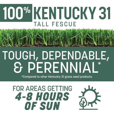 Pennington tall fescue lawn showing durable, dense blades for a tougher lawn