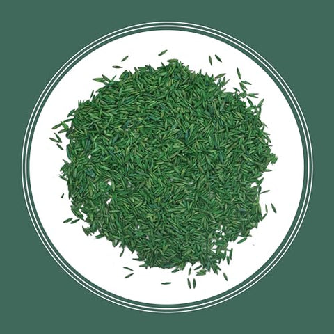 Lawn greenery after planting shows vibrant growth.