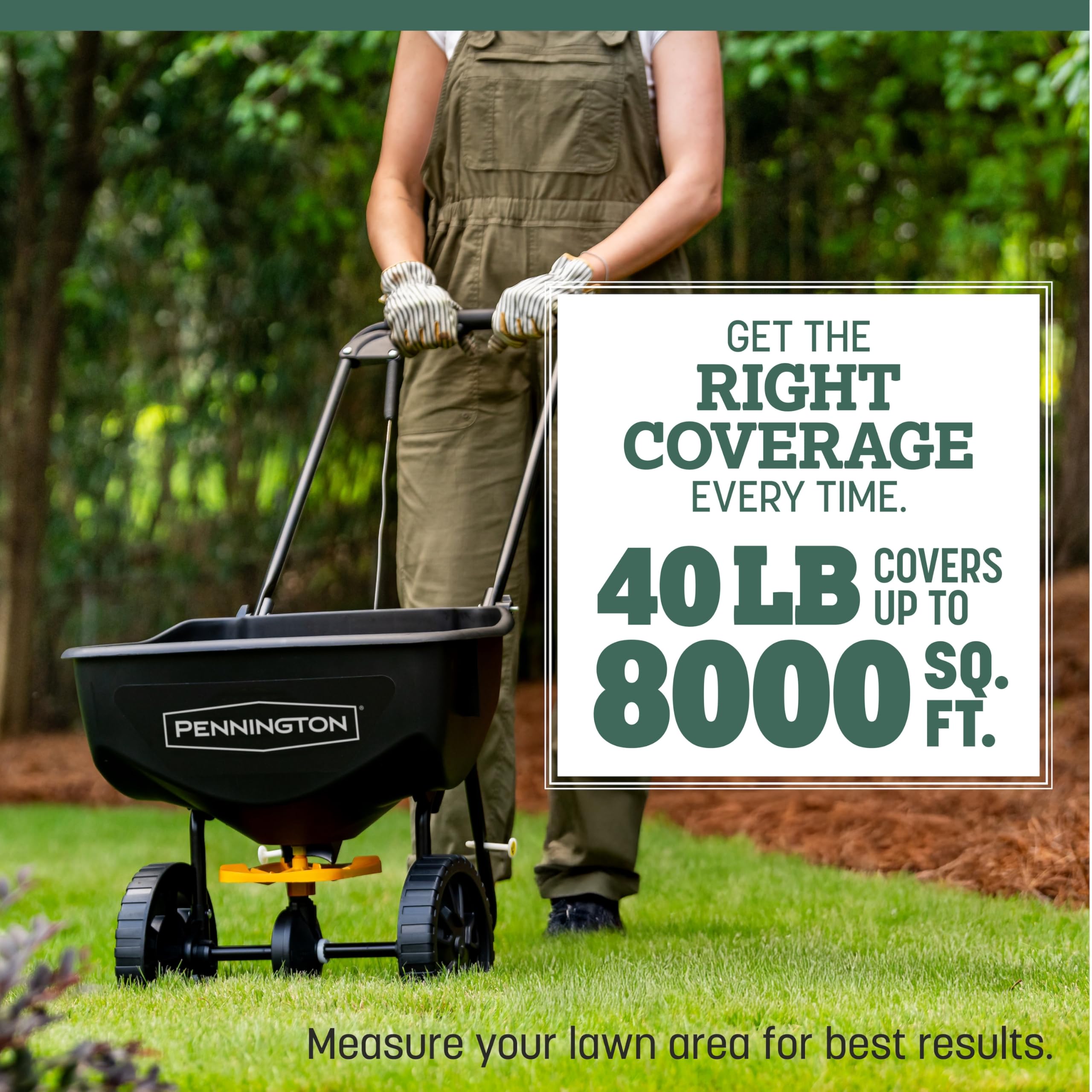 Pennington Kentucky 31 Tall Fescue ideal for starting a new lawn from seed