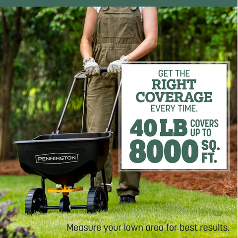 Pennington Kentucky 31 Tall Fescue ideal for starting a new lawn from seed