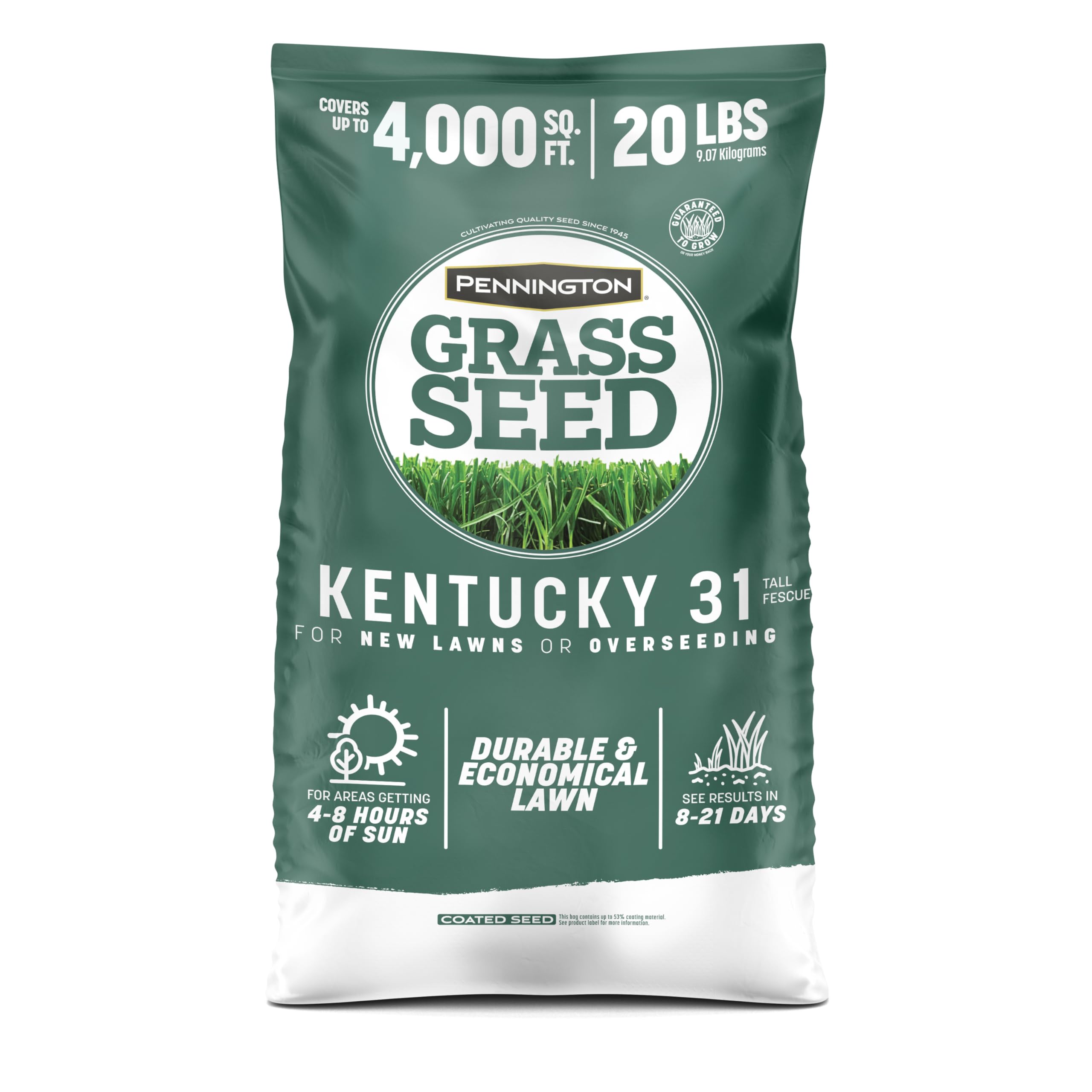 Pennington Kentucky 31 Tall Fescue seed 20 lb bag ready for overseeding and even germination