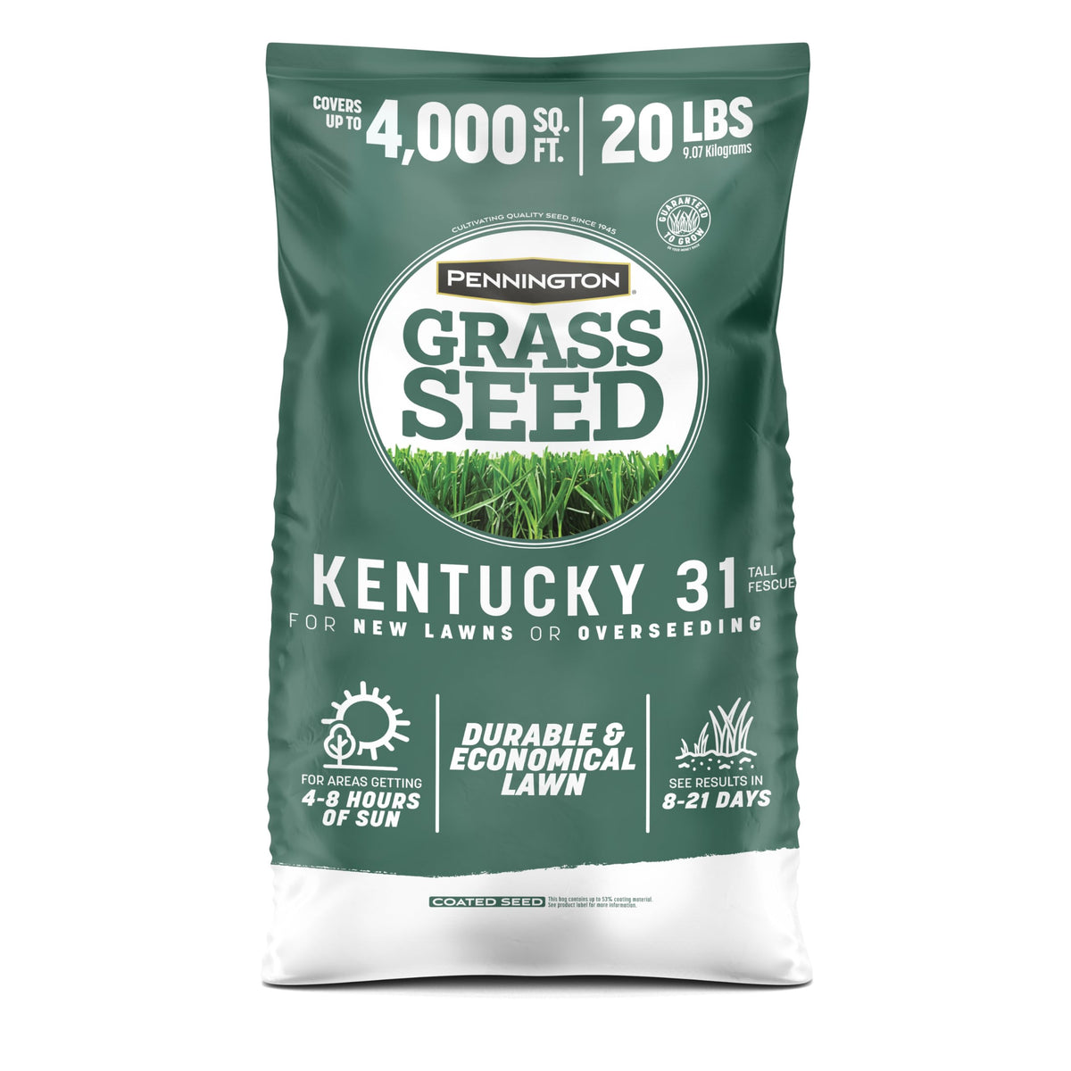 Pennington Kentucky 31 Tall Fescue seed 20 lb bag ready for overseeding and even germination