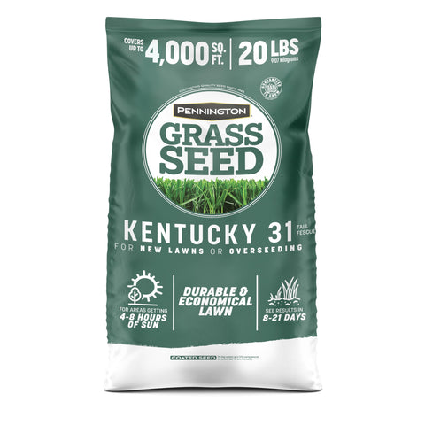 Pennington Kentucky 31 Tall Fescue seed 20 lb bag ready for overseeding and even germination