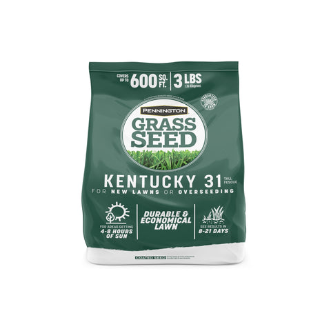 Pennington Kentucky 31 Tall Fescue seed bag close-up demonstrates durable, economical lawn seed.