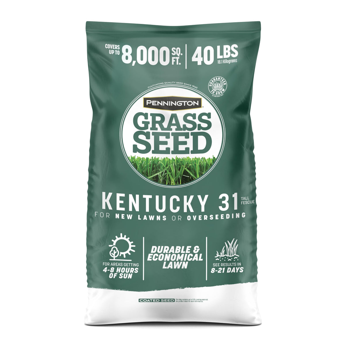 Pennington Kentucky 31 Tall Fescue seed bag for home lawns