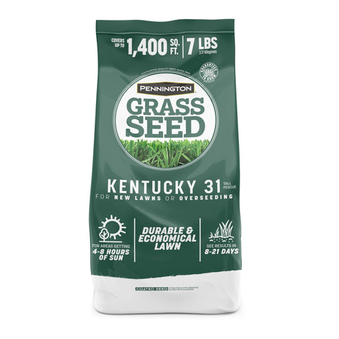 Pennington Kentucky 31 Tall Fescue seed bag ready for a durable lawn.