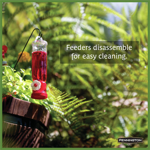 Pennington Planter Hummingbird Feeder attracting visiting birds to flowers.