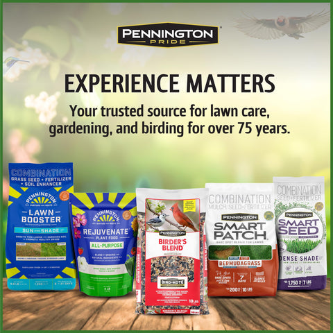 Ducks and chipmunks enjoying Pennington Pride blend in a natural setting