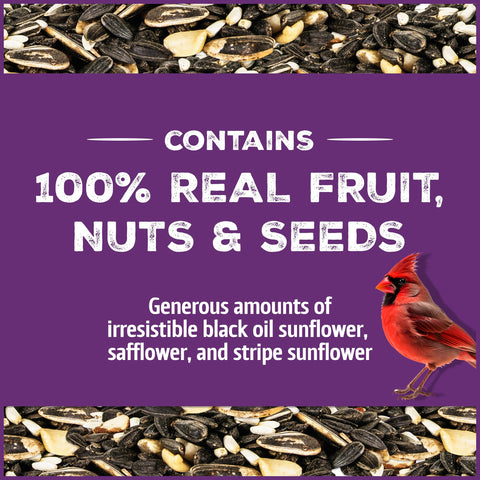 Pennington Pride fruit-nut seed mix close-up, high-energy blend birds love.