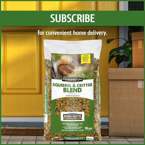 10-pound bag of Pennington Pride Squirrel & Critter Blend