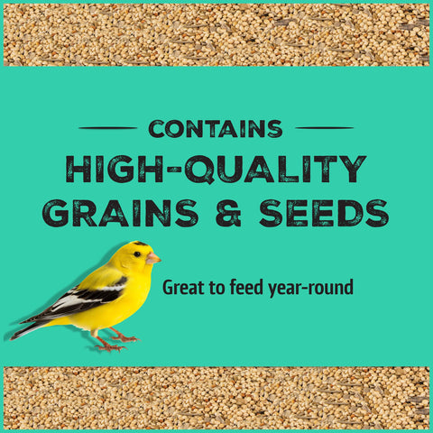 Backyard birds visit a feeder with Pennington Pride Wild Finch Blend