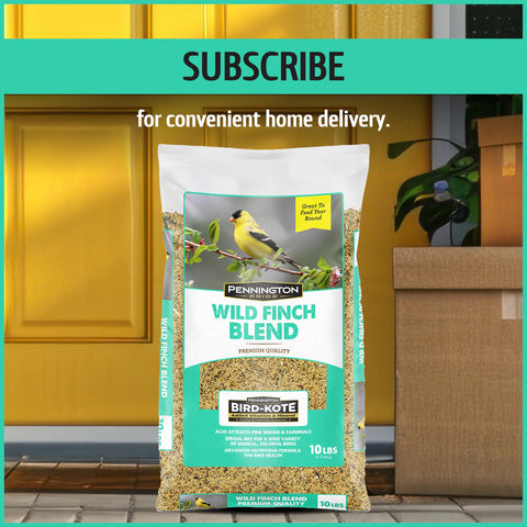 Colorful songbirds flock to your yard using Pennington Pride Wild Finch Blend