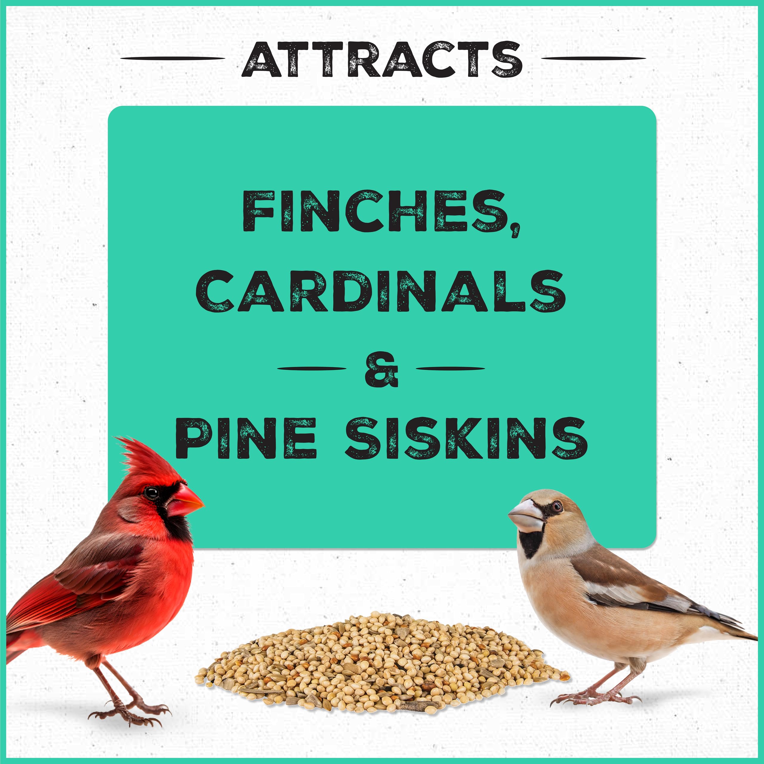 Finches perched at a feeder with Pennington Pride Wild Finch Blend