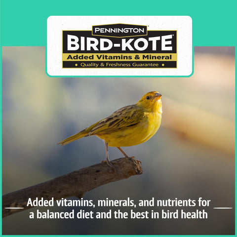 Year-round feeding with Pennington Pride Wild Finch Blend supports steady bird visits
