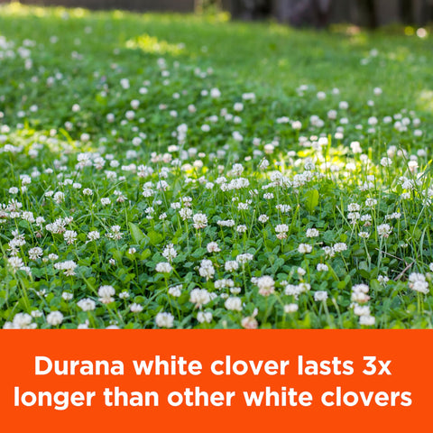 Pennington Rackmaster Durana nitrogen fixation concept shows soil enrichment.