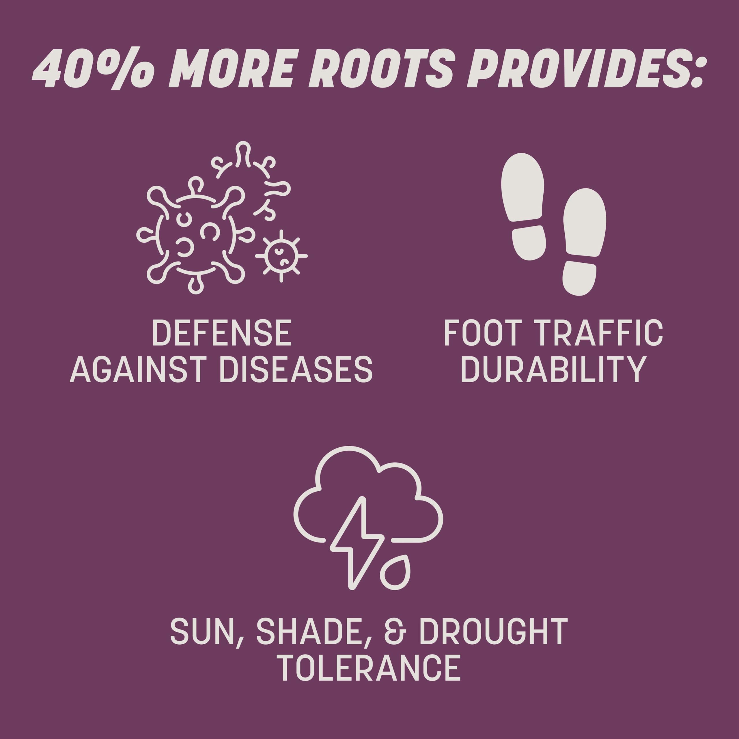 Pennington Rebels extended-root tall fescue for deep, resilient turf.