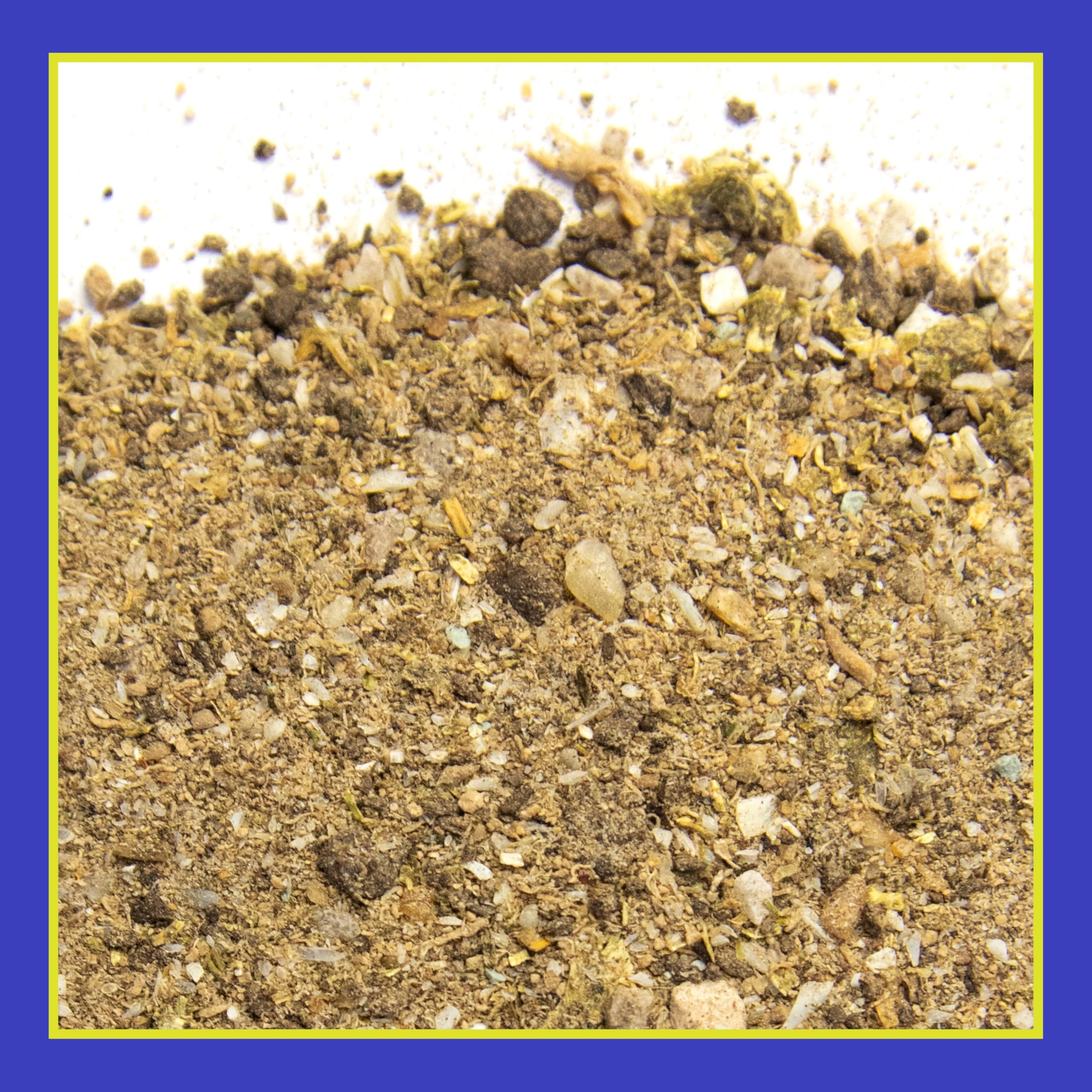 Pennington Rejuvenate microbes at work around roots to improve nutrient uptake.