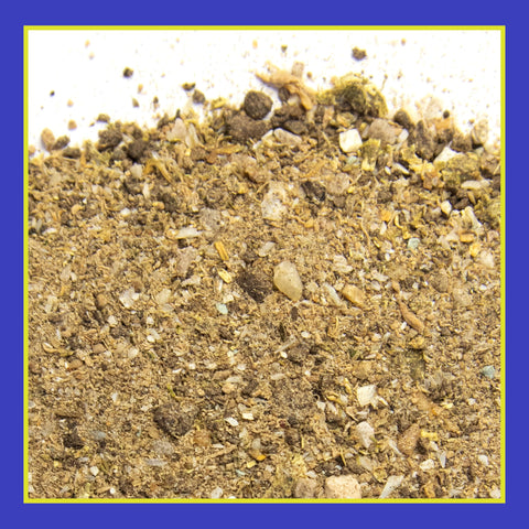 Pennington Rejuvenate microbes at work around roots to improve nutrient uptake.
