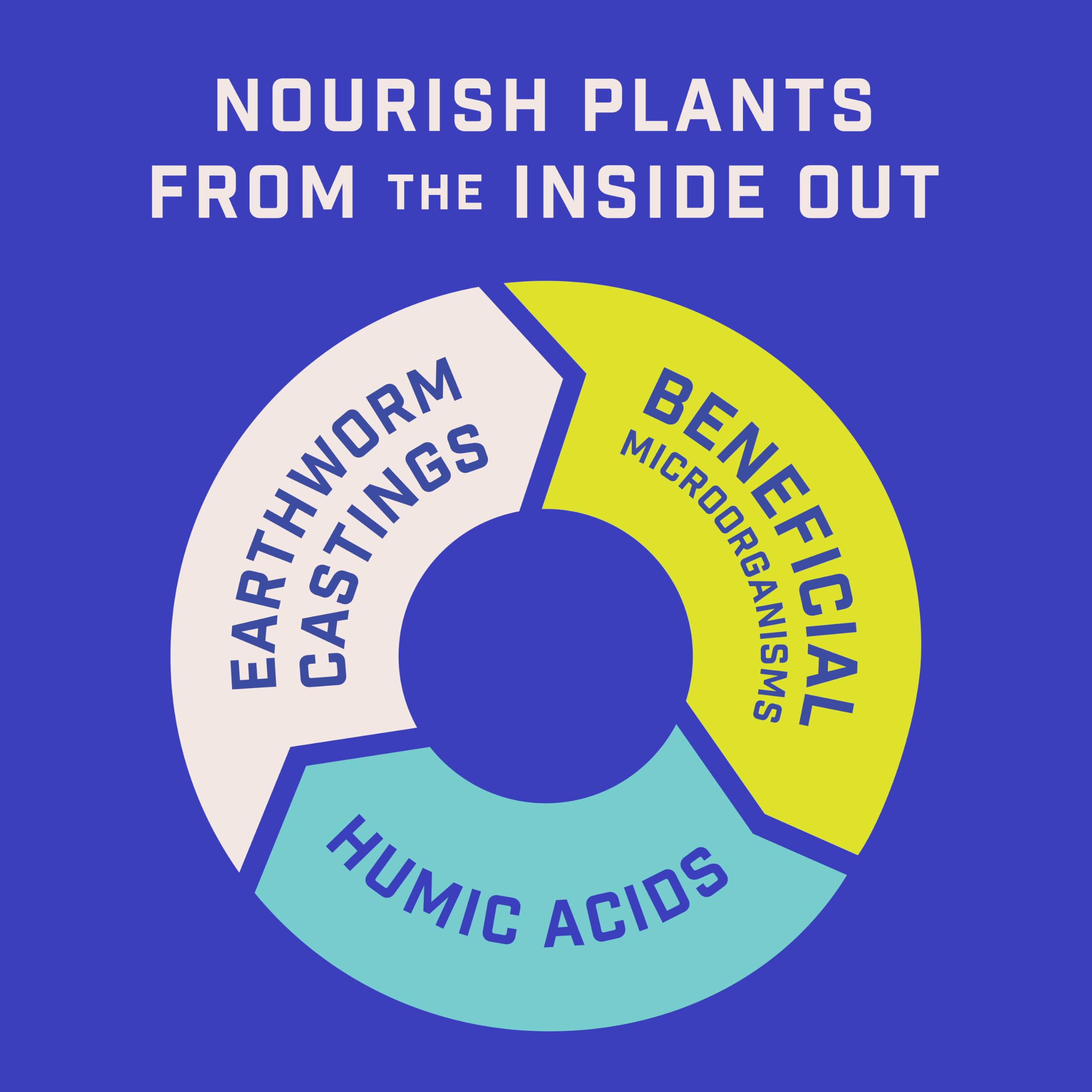 Pennington Rejuvenate helps hydrangeas receive balanced nourishment for color.