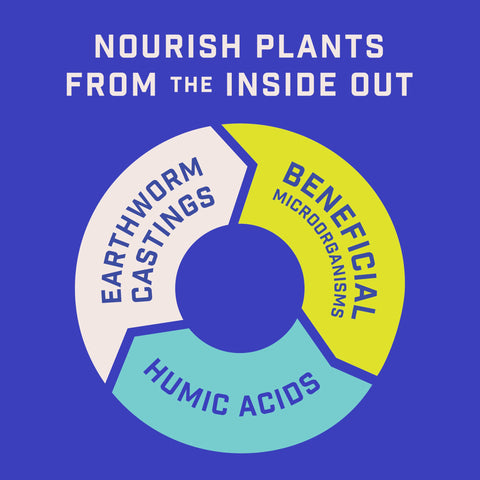 Pennington Rejuvenate helps hydrangeas receive balanced nourishment for color.