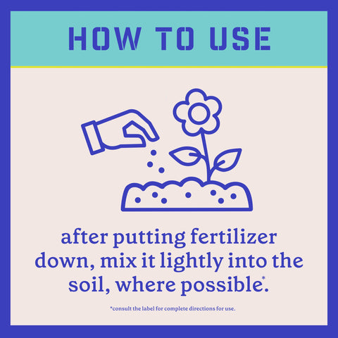 Pennington Rejuvenate soil improvement supports resilient evergreen growth.