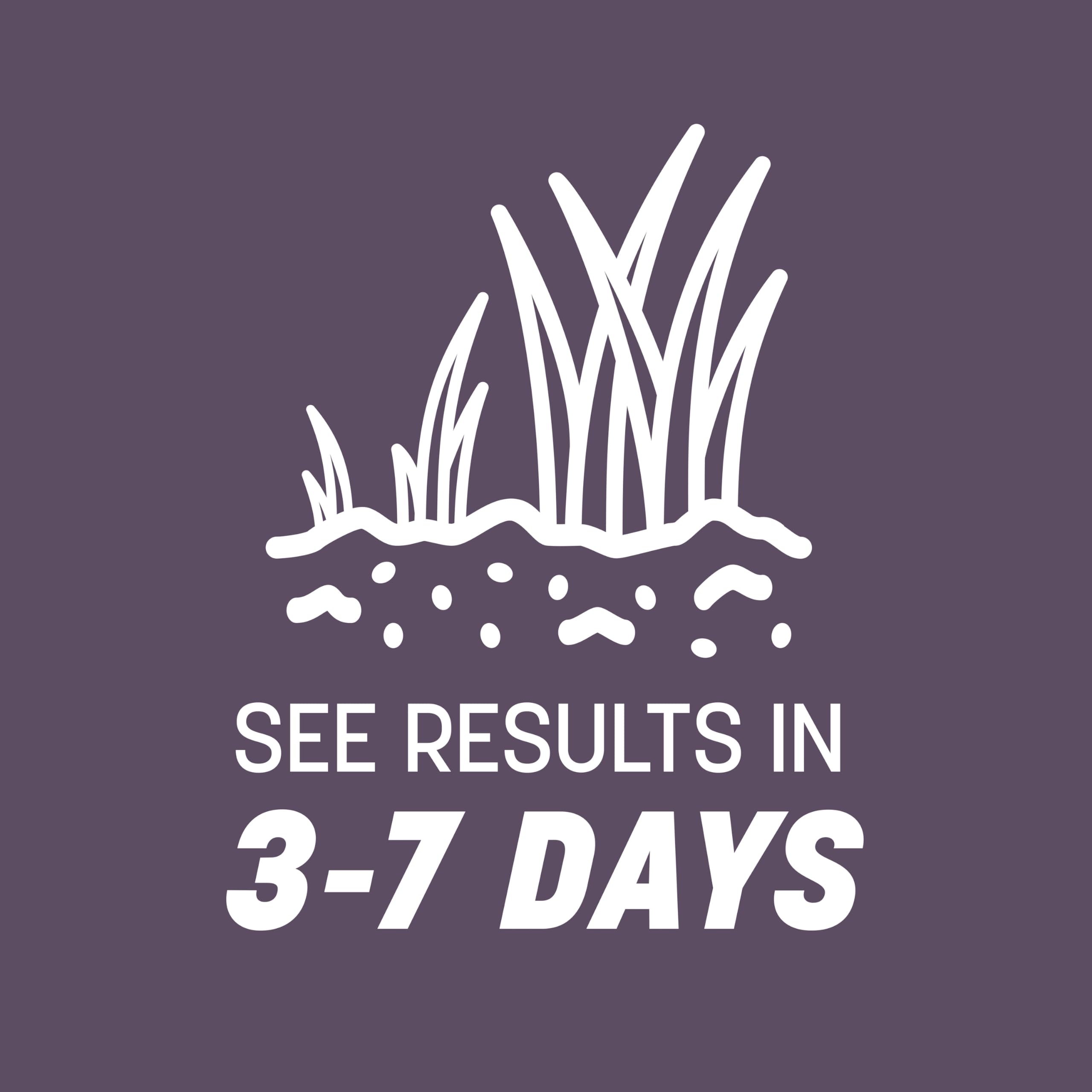 Pennington Annual Ryegrass stands up to foot traffic and disease resistance.