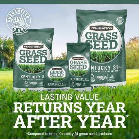 Pennington seed spread action demonstrating even germination