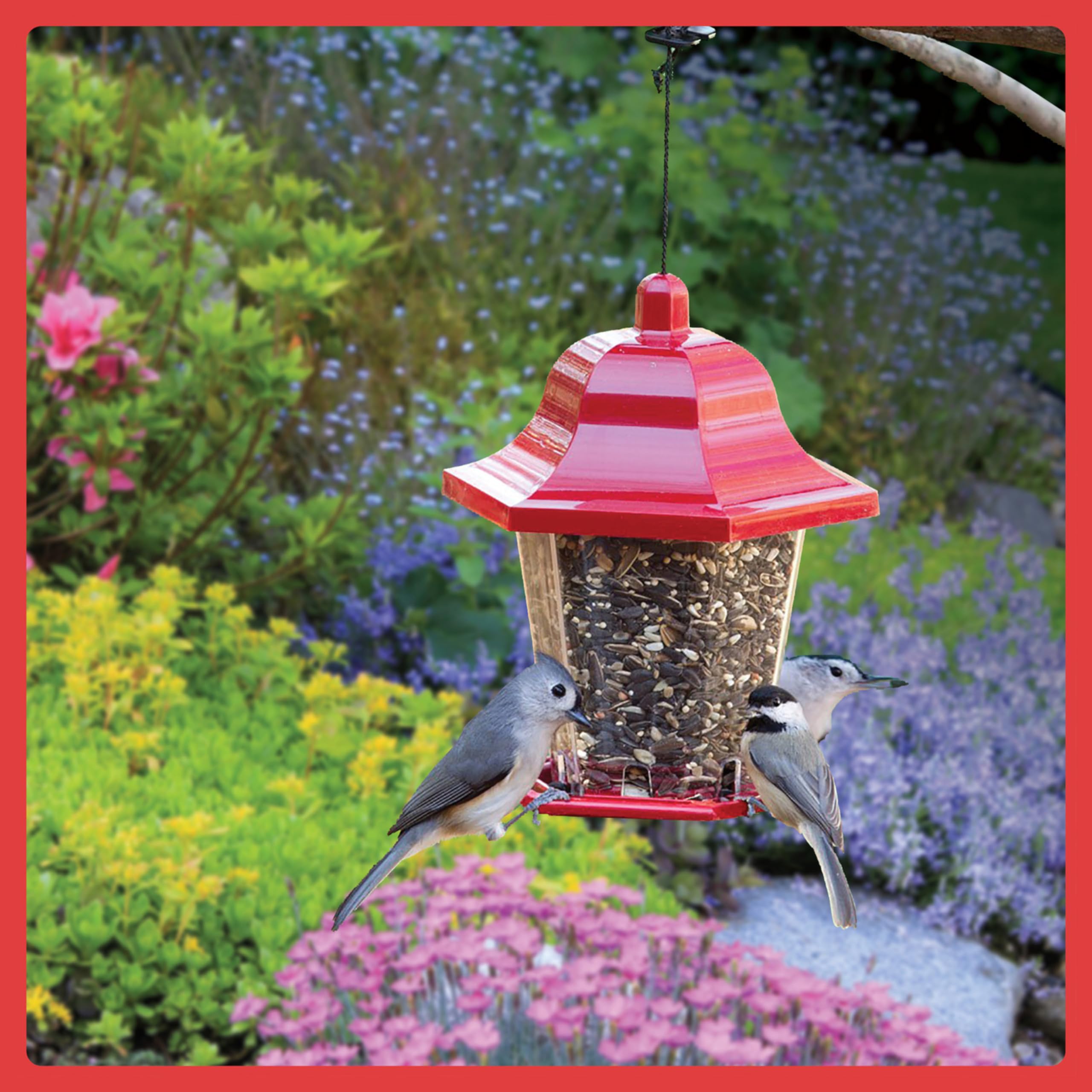 Pennington Select Birder's Blend attracts cardinals to feeders.