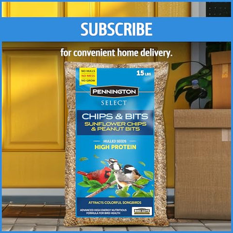 Pennington Select Chips & Bits invites a lively backyard bird display