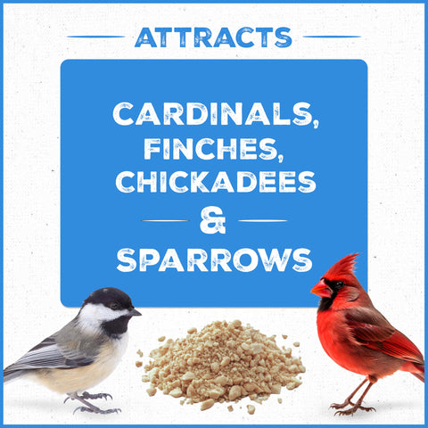 Pennington Select Chips & Bits shelled peanuts deliver energy for active backyard songbirds