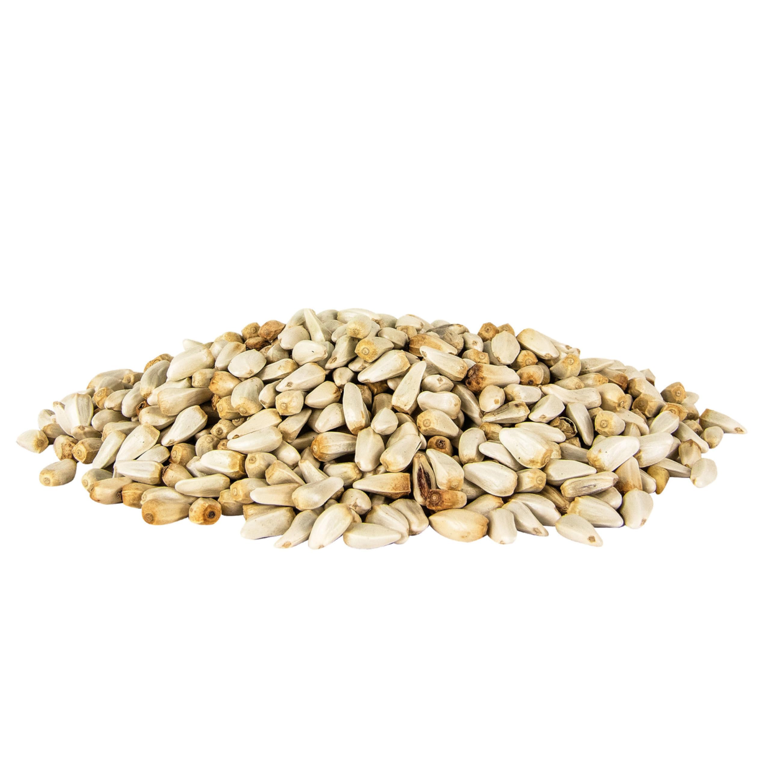 Pennington Select Safflower Seed at outdoor feeder