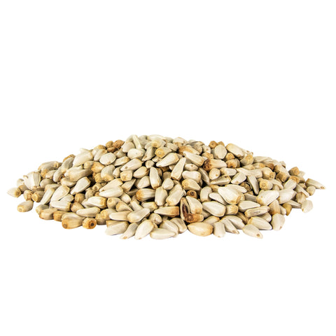 Pennington Select Safflower Seed at outdoor feeder