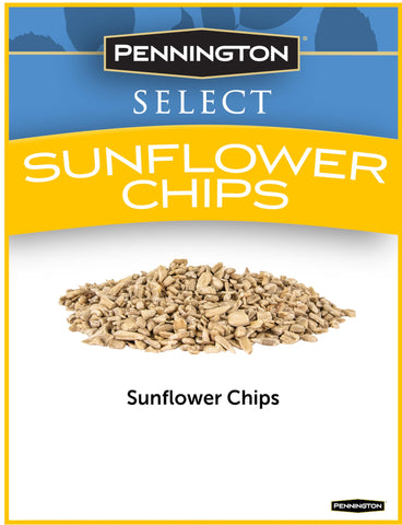 Birds feeding on Pennington Select Sunflower Chips at a feeder