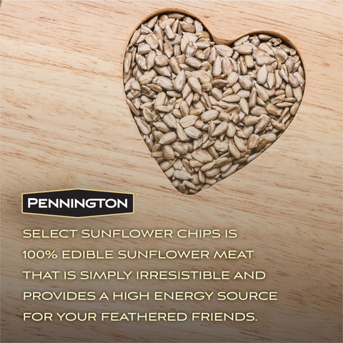 Birds perched at a feeder while Pennington Chips provide energy